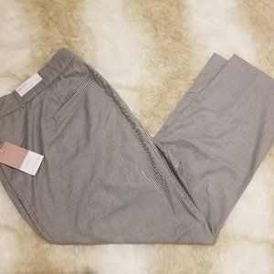 Lane Bryant "The Allie" Pants